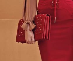 pochette Elisabetta Franchi 2014