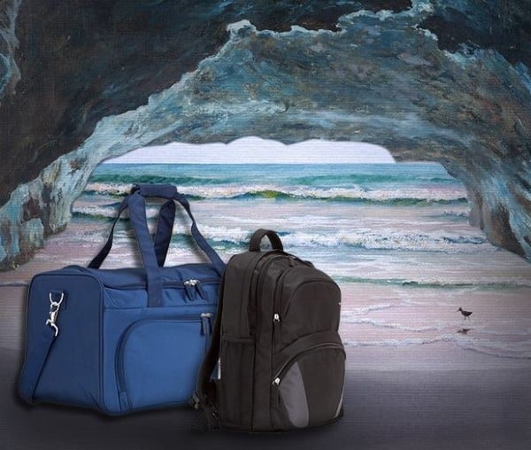 Borse da viaggio Carpisa moda