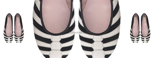 Pretty Ballerinas ballerine Skeleton