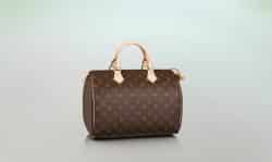 borse monogram louis vuitton speedy 30