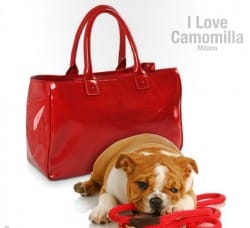 borse camomilla autunno inverno 2013 2014 shopper vernice