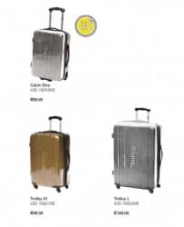 autunno inverno 2013 2014 valigie segue metal