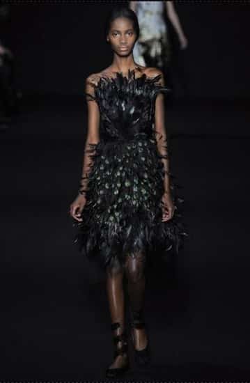 sfilata Alberta Ferretti autunno inverno 2014 2015 sera