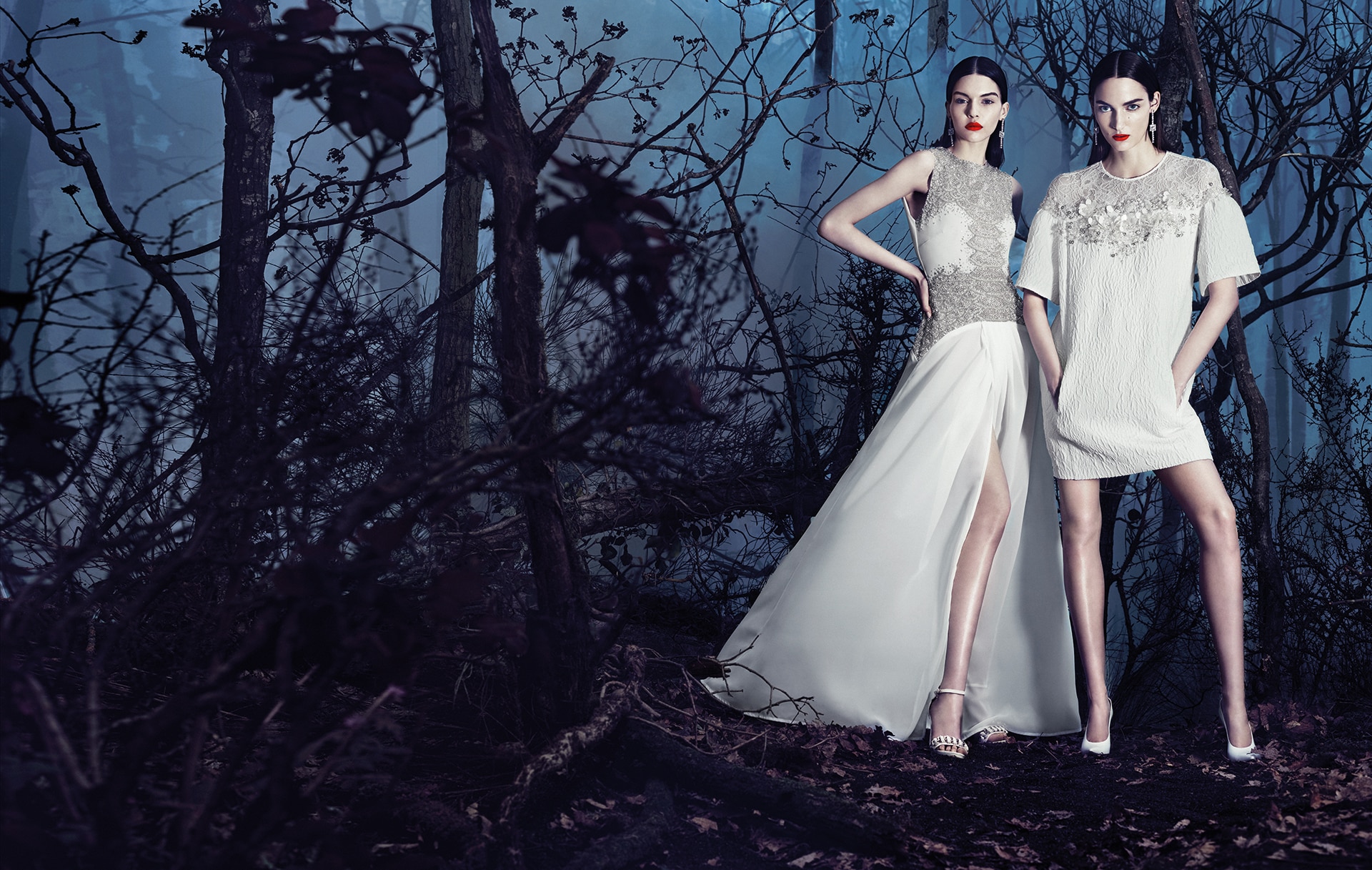 Elisabetta Franchi 2014 2015