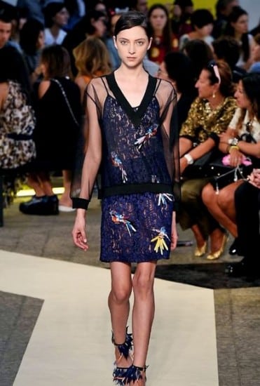 MSGM primavera estate 2015 uccelli