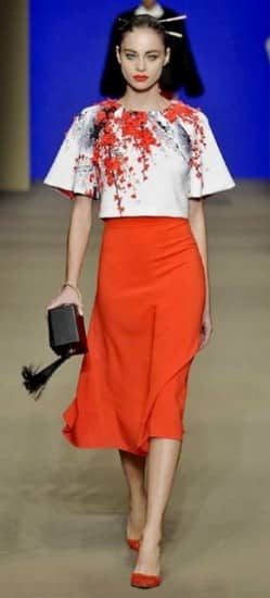 Elisabetta Franchi collezione autunno inverno 2015 2016 giappone