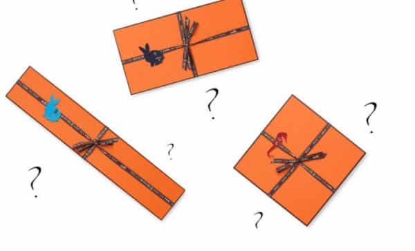 Hermes Mistery Box