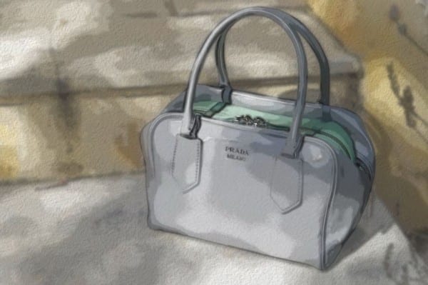Prada Inside Bag